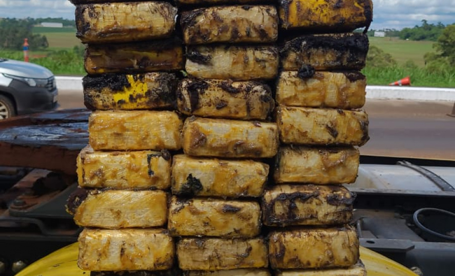 Cão Logan, da Polícia Penal, encontra entorpecentes escondidos em carreta