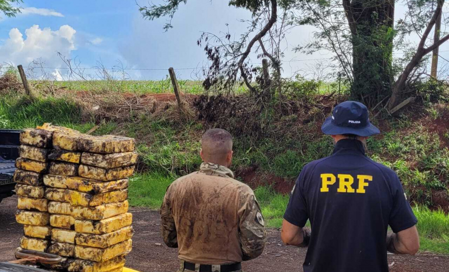 Cão Logan, da Polícia Penal, encontra entorpecentes escondidos em carreta