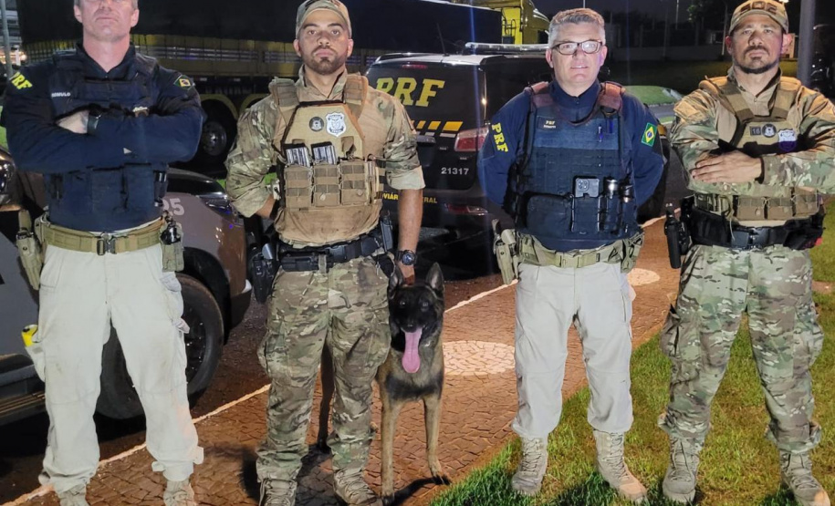 Cão Logan, da Polícia Penal, encontra entorpecentes escondidos em carreta