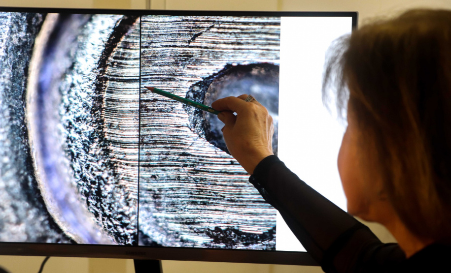 Investigação: Paraná é 2º estado que mais detectou compatibilidade balística no País