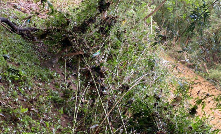 Com tropa de elite, Bombeiros reforçam equipe de busca por criança em General Carneiro