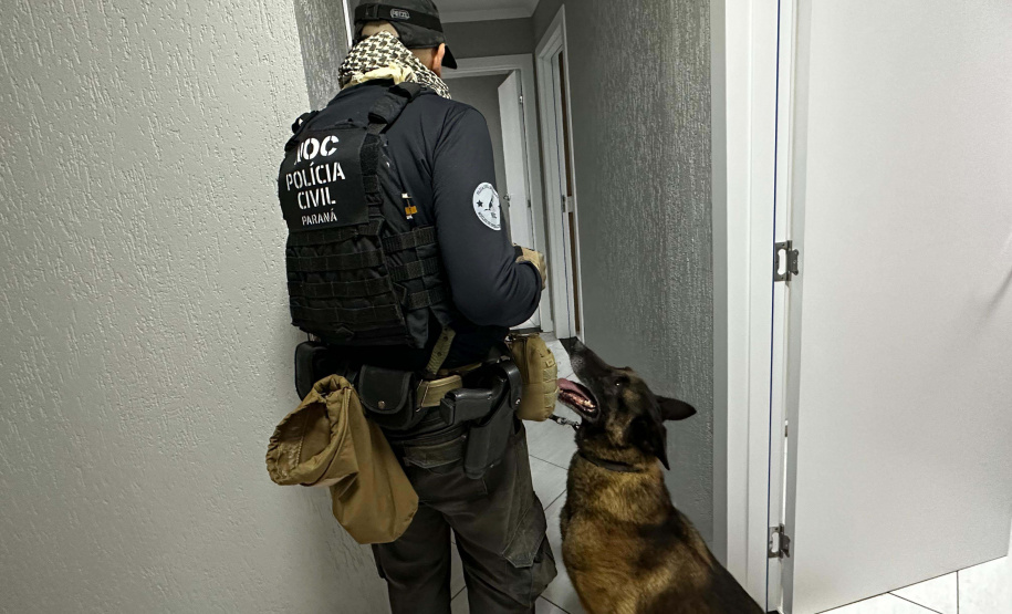 Cães da PCPR ajudaram a apreender 2,8 toneladas de drogas em 2024