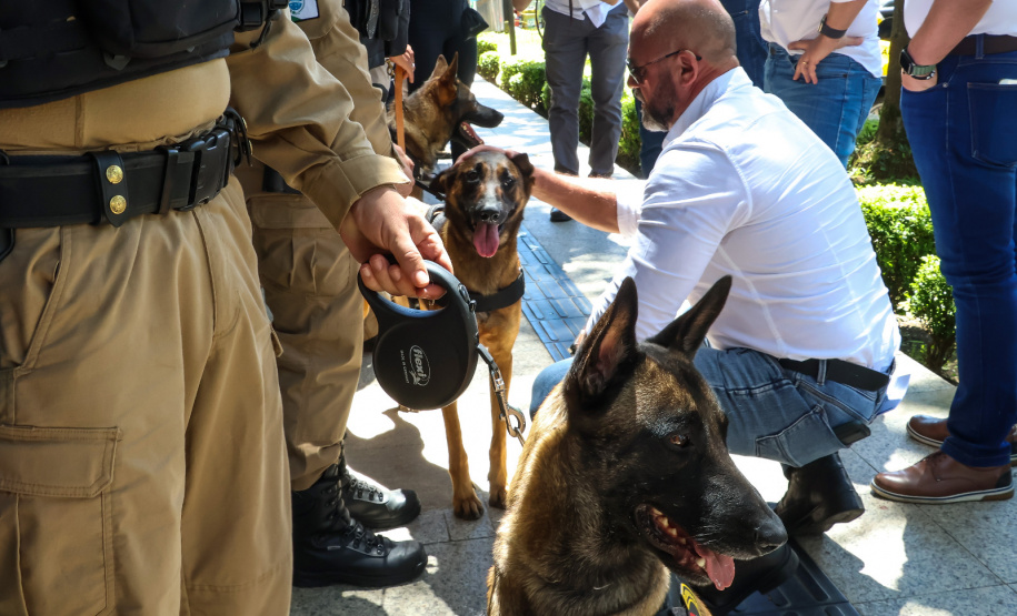 Reforço nas estradas: DER/PR entrega 36 viaturas e 5 cães ao Batalhão de Polícia Rodoviária