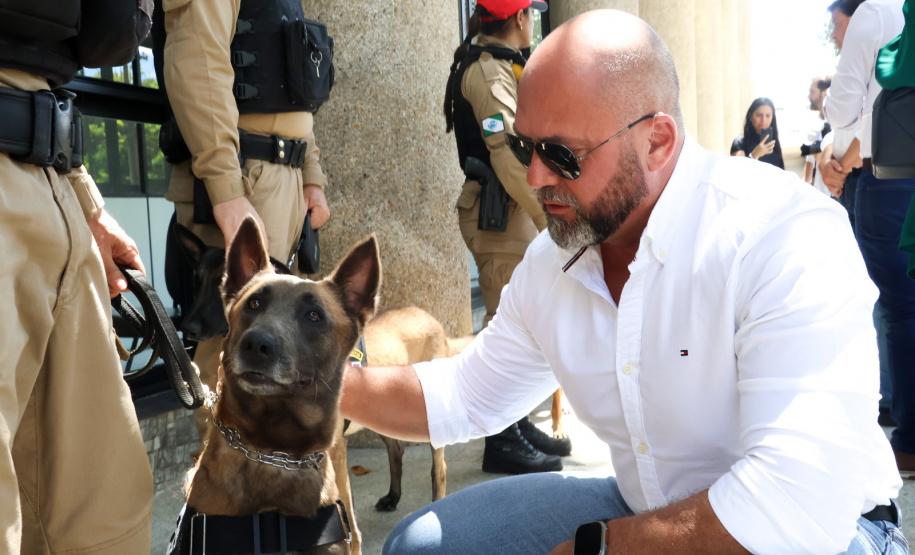 Reforço nas estradas: DER/PR entrega 36 viaturas e 5 cães ao Batalhão de Polícia Rodoviária
