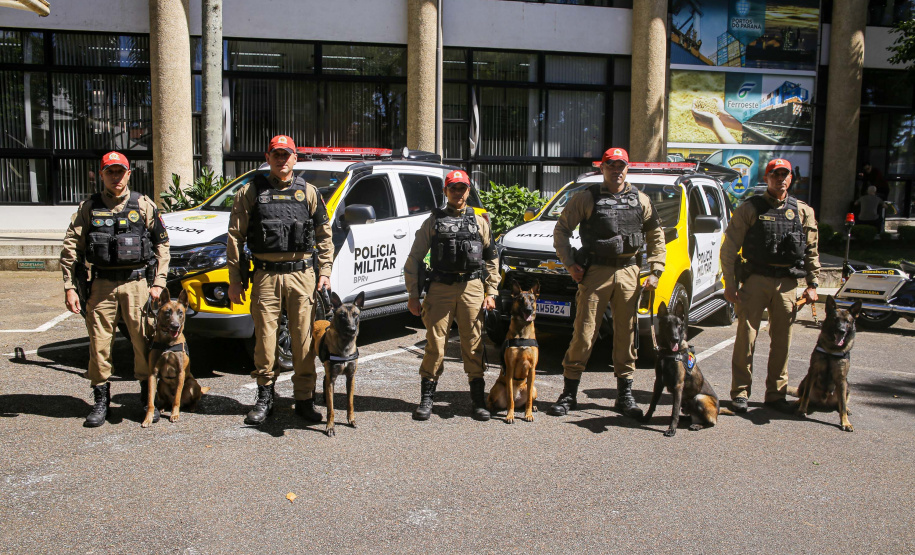 Reforço nas estradas: DER/PR entrega 36 viaturas e 5 cães ao Batalhão de Polícia Rodoviária