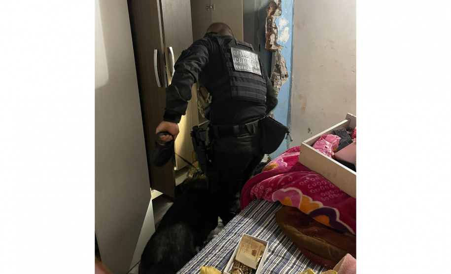 Operação no Oeste: PCPR e PMPR prendem 10 pessoas por tráfico em quatro cidades