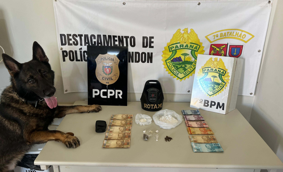 Cães da PCPR ajudaram a apreender 2,8 toneladas de drogas em 2024