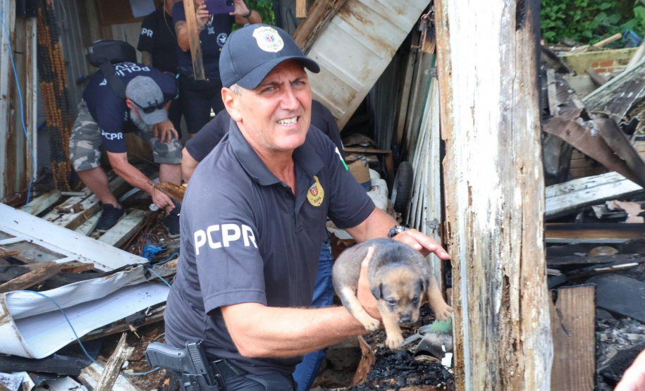 PCPR resgata cadela e filhotes presos em escombros em Guaratuba