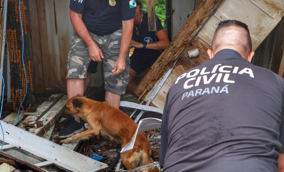 PCPR resgata cadela e filhotes presos em escombros em Guaratuba