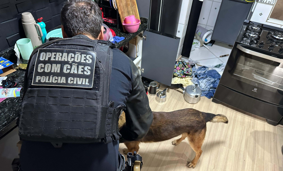 Cães da PCPR ajudaram a apreender 2,8 toneladas de drogas em 2024