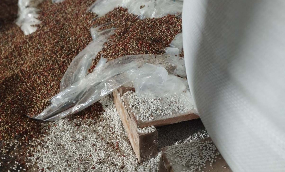 PCPR prende dez e apreende um adolescente por roubo, desvio e adulteração de cargas