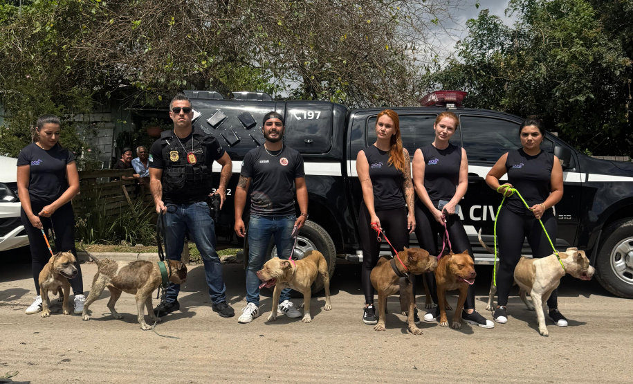 PCPR prende homem por maus tratos e resgata animais em Curitiba