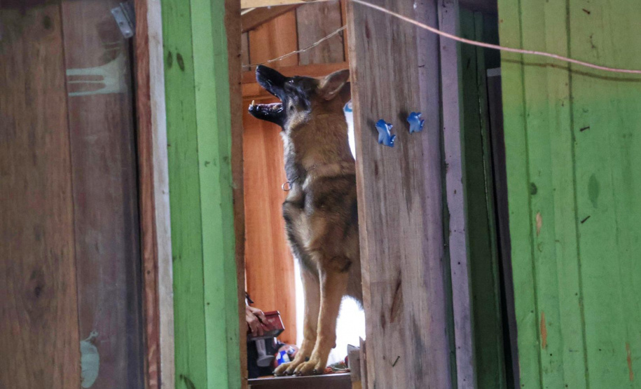 PCPR e PMPR encerram primeira fase da Operação Integrada no litoral com 450 prisões