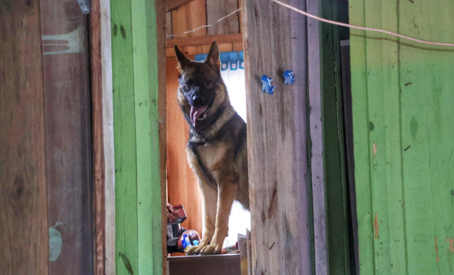 PCPR e PMPR encerram primeira fase da Operação Integrada no litoral com 450 prisões