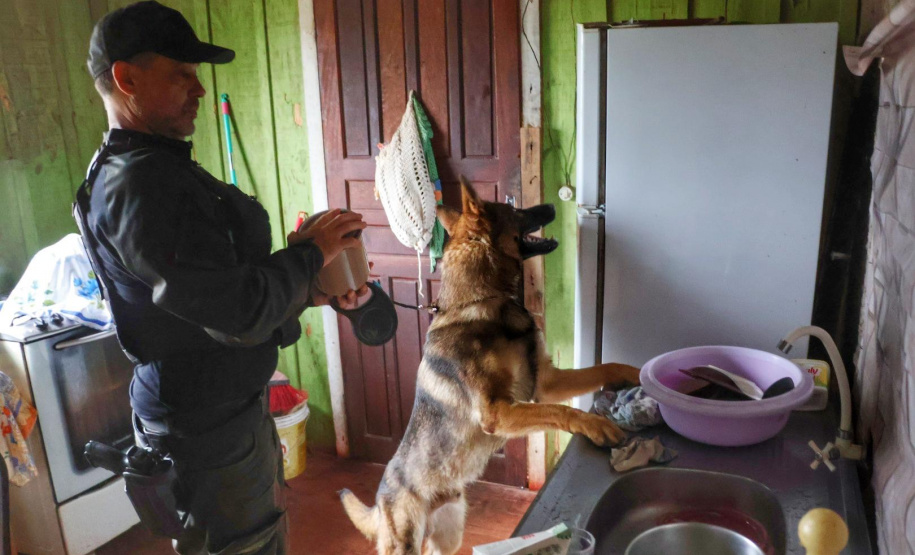 PCPR e PMPR encerram primeira fase da Operação Integrada no litoral com 450 prisões