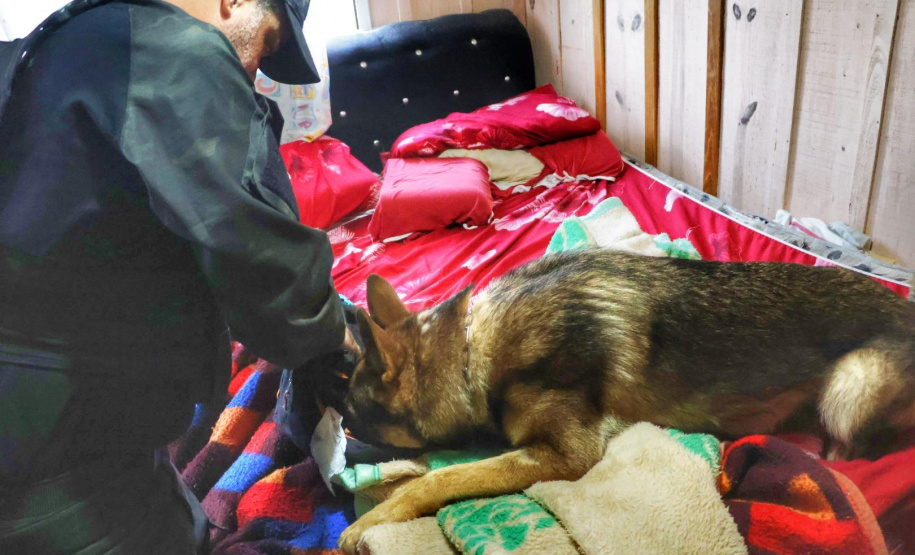 PCPR e PMPR encerram primeira fase da Operação Integrada no litoral com 450 prisões