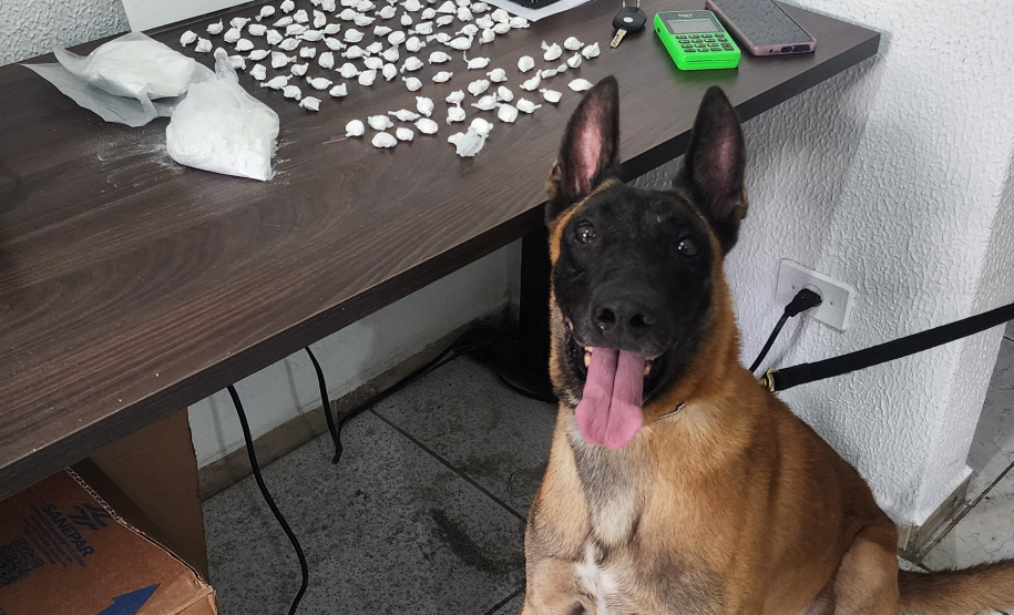 PMPR apreende cocaína, arma e munições durante ação no litoral do Paraná