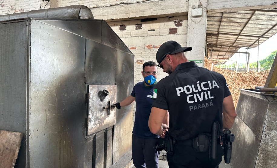 PCPR incinera mais de 15 quilos de drogas apreendidas durante o Verão Maior Paraná