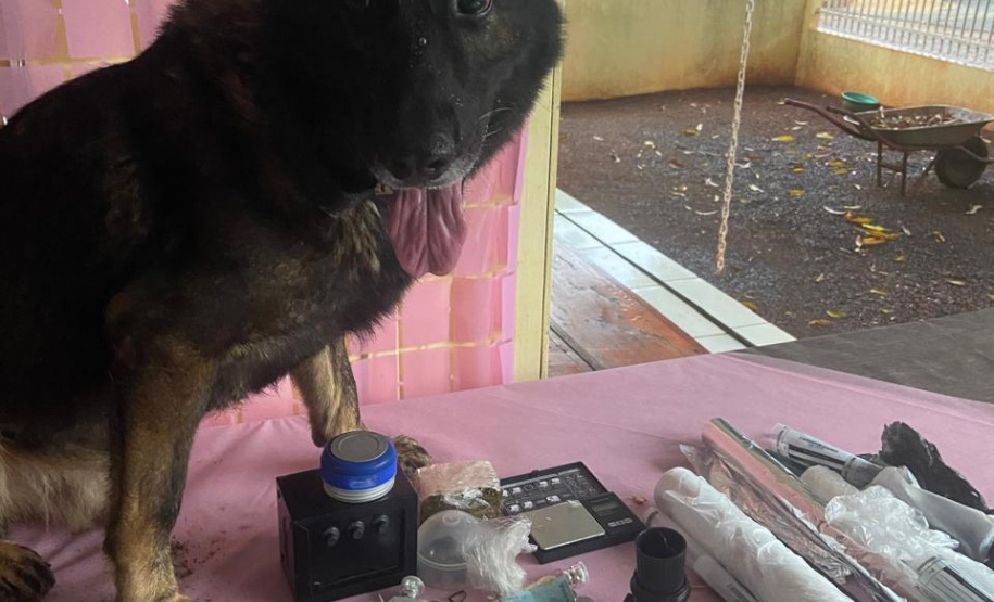 PCPR e PMPR prendem dez suspeitos por tráfico de drogas e organização criminosa em operação integrada