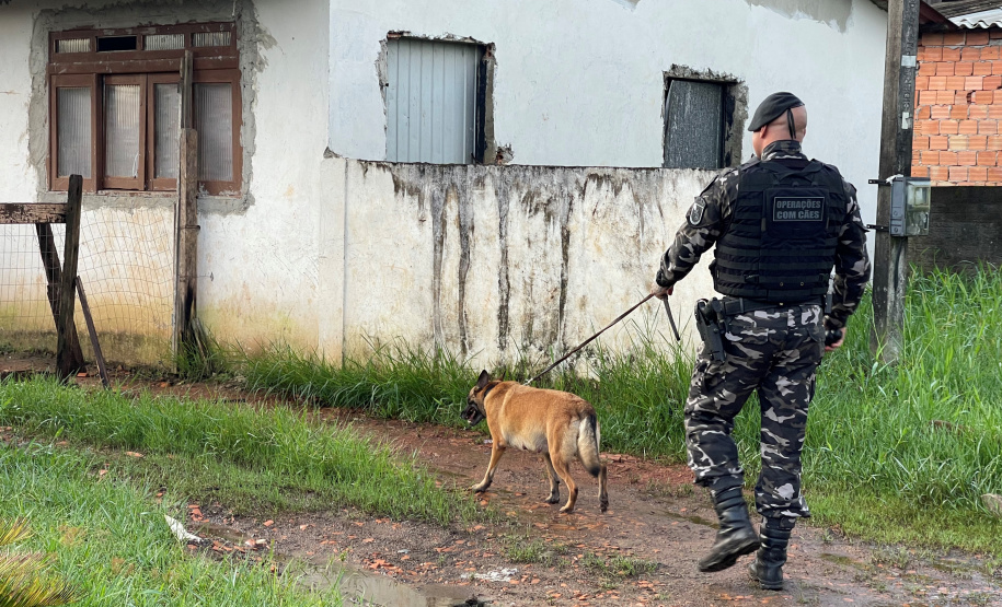 PCPR e PMPR encerram primeira fase da Operação Integrada no litoral com 450 prisões