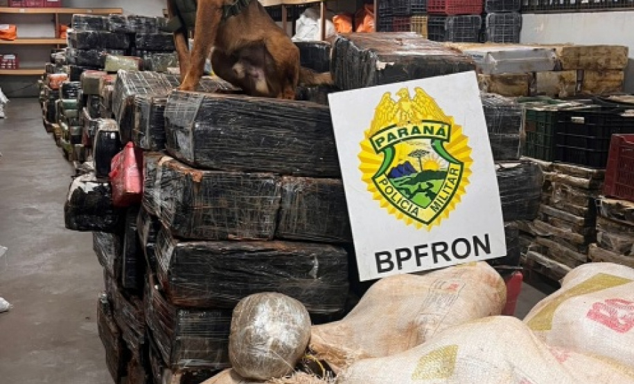BPFron apreende 6 toneladas de maconha em Santa Helena