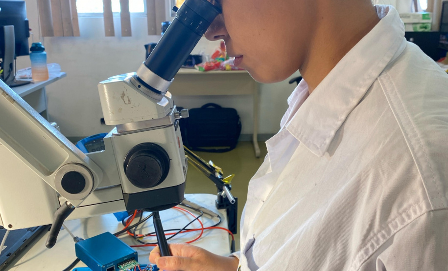 Polícia Científica do Paraná realiza mais de 110 mil exames periciais em 2024