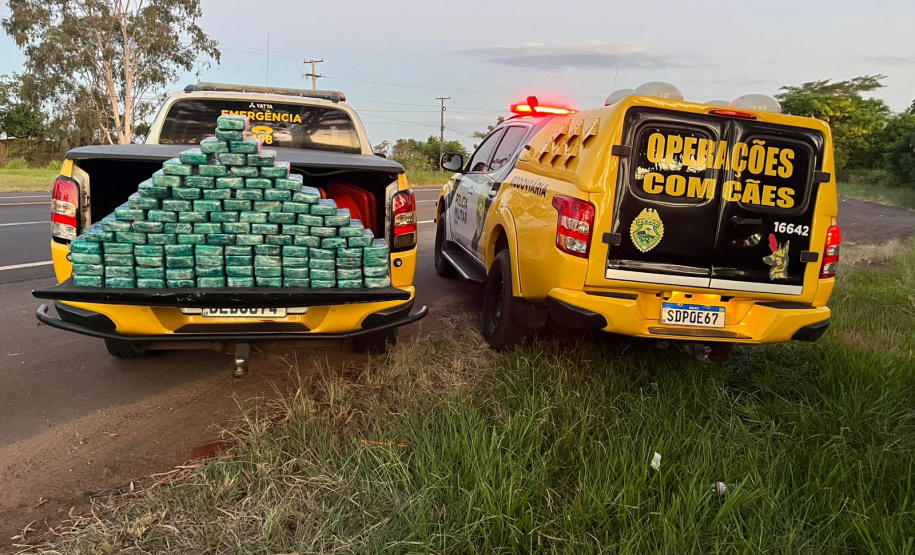 PMPR E PF apreendem 104kg de pasta base de cocaína em Cruzeiro do Oeste