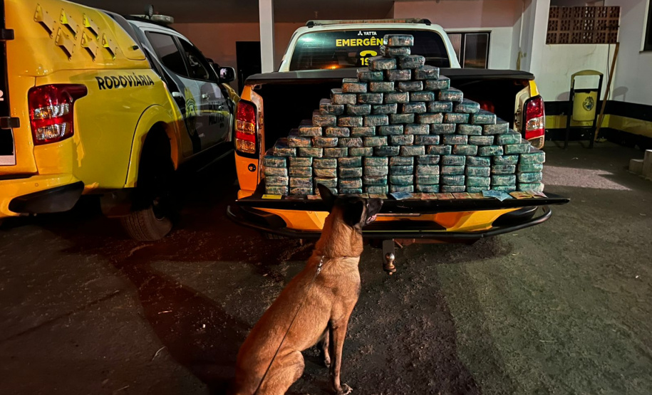 PMPR E PF apreendem 104kg de pasta base de cocaína em Cruzeiro do Oeste