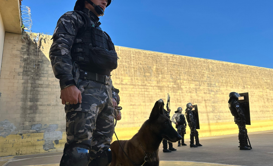 Polícia Penal realiza operação simultânea em sete unidades do Complexo Penitenciário de Piraquara