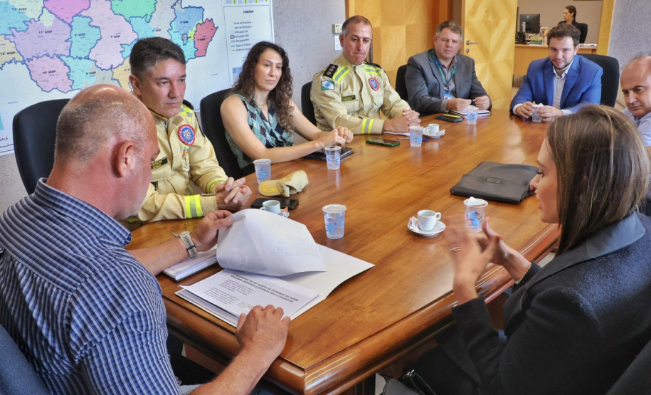 Secretário recebe  deputada estadual Maria Victoria