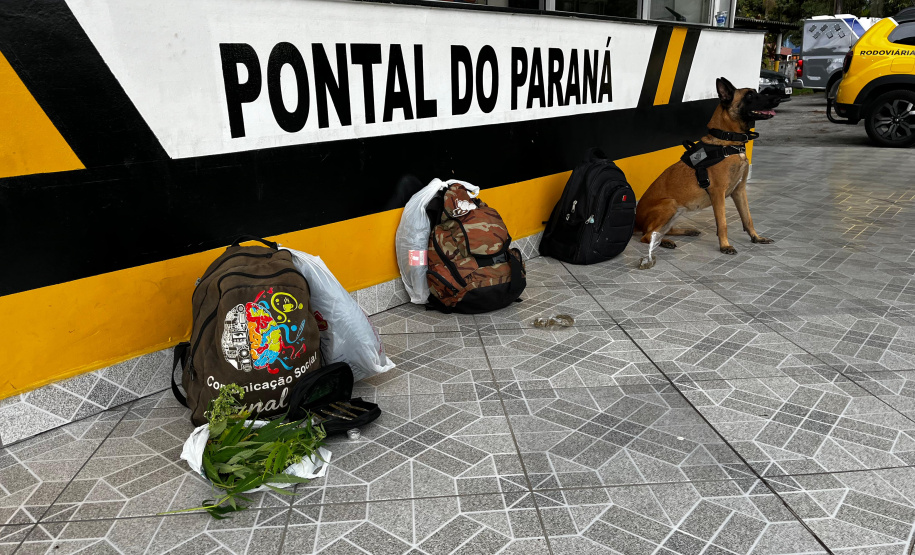 Forças de segurança realizam operação integrada e prendem três pessoas por tráfico de drogas no litoral