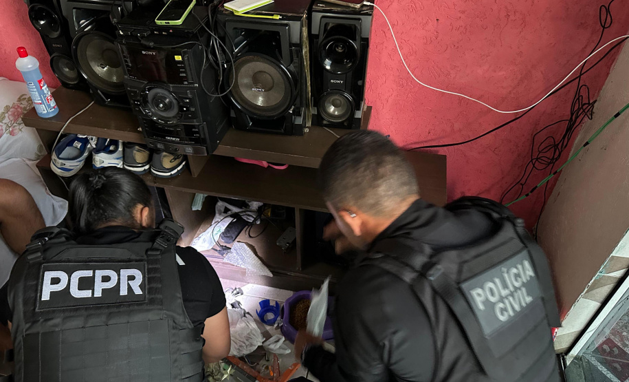 Operação da PCPR mira grupo especializado em furtos de veículos e outros crimes