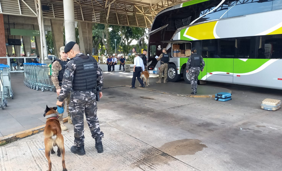 PMPR apreende 19 quilos de maconha na rodoviária de Curitiba