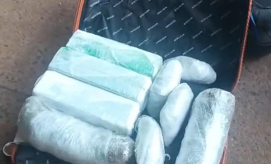 PMPR apreende 19 quilos de maconha na rodoviária de Curitiba