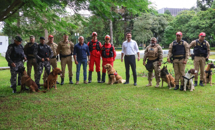 Governo do Paraná vai comprar 93 cães para reforçar atividades policiais e de salvamento