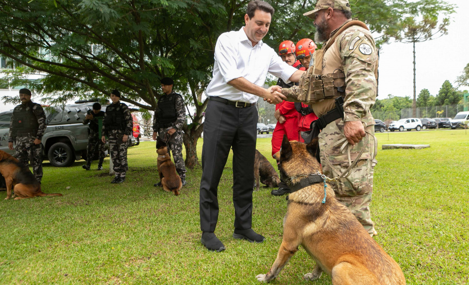 Governo do Paraná vai comprar 93 cães para reforçar atividades policiais e de salvamento