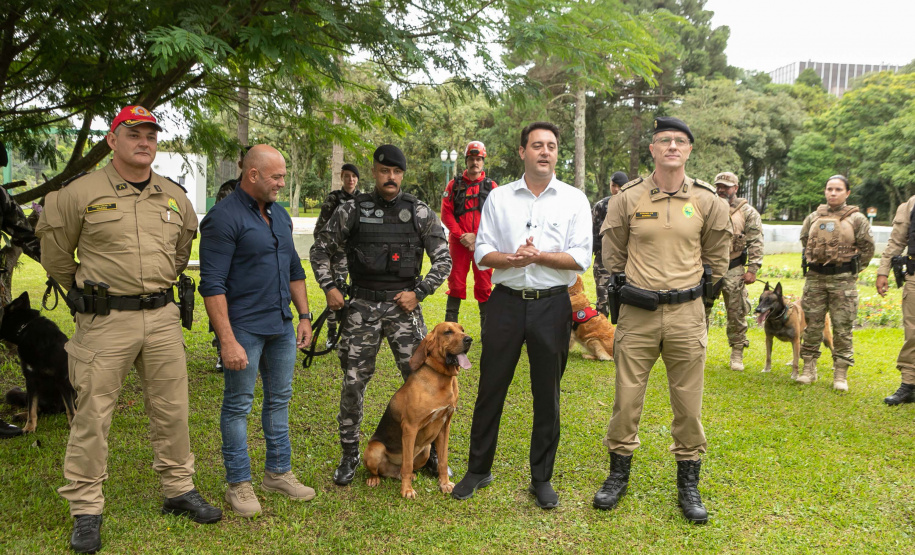 Governo do Paraná vai comprar 93 cães para reforçar atividades policiais e de salvamento