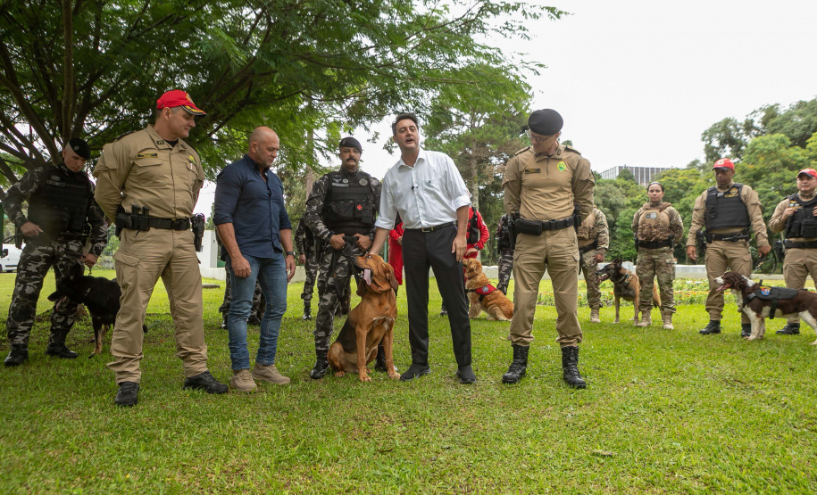 Governo do Paraná vai comprar 93 cães para reforçar atividades policiais e de salvamento