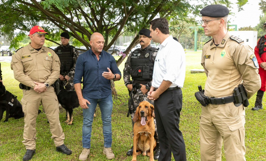 Governo do Paraná vai comprar 93 cães para reforçar atividades policiais e de salvamento