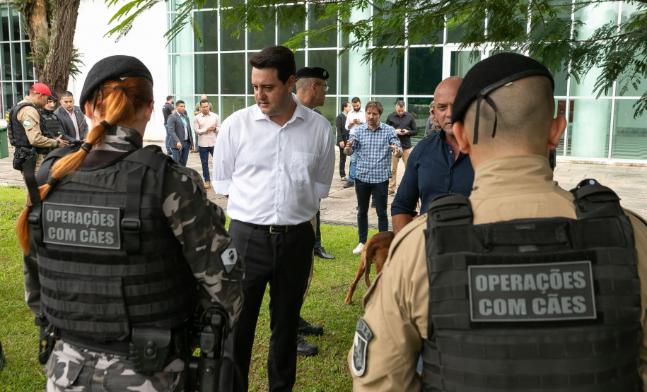 Governo do Paraná vai comprar 93 cães para reforçar atividades policiais e de salvamento