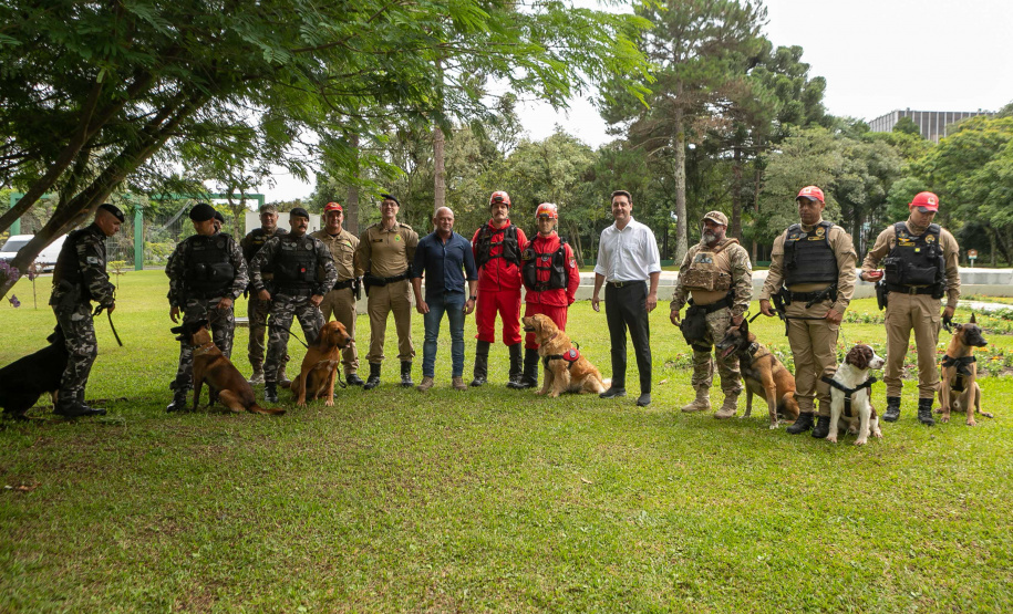 Governo do Paraná vai comprar 93 cães para reforçar atividades policiais e de salvamento