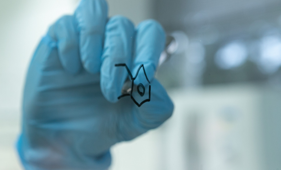 Alerta de segurança: Polícia Científica identifica cocaína rosa após apreensão no Paraná