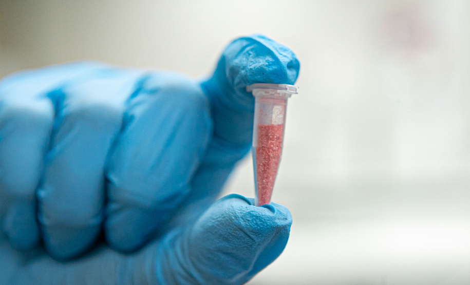 Alerta de segurança: Polícia Científica identifica cocaína rosa após apreensão no Paraná