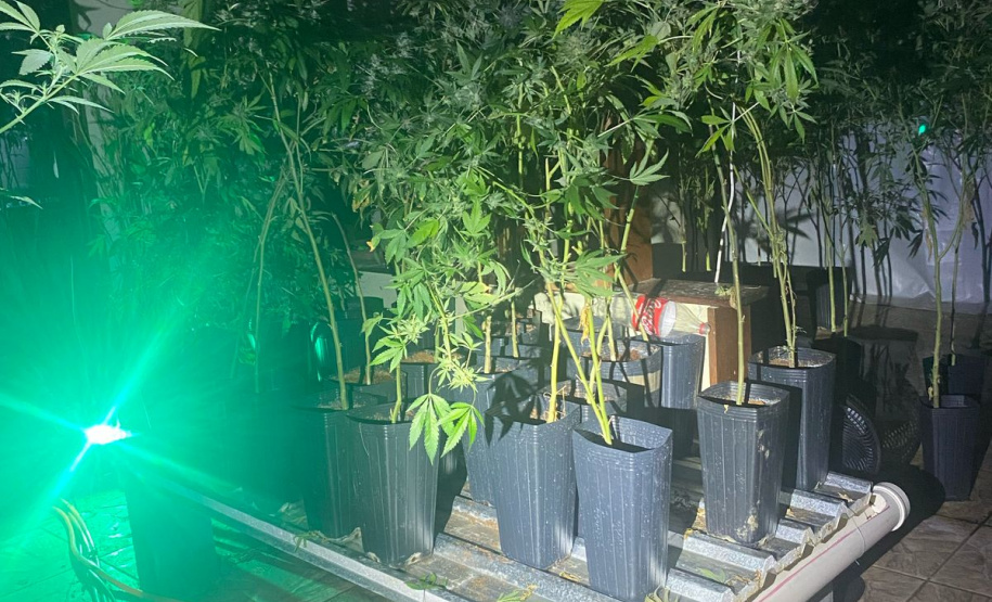 Polícia Militar desmantela laboratório de drogas em Balsa Nova