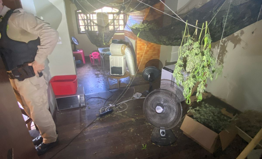 Polícia Militar desmantela laboratório de drogas em Balsa Nova