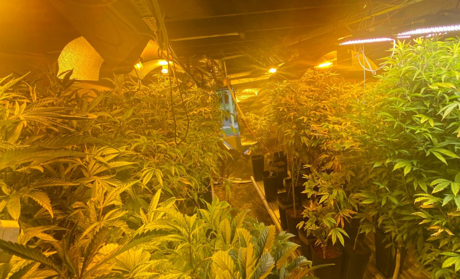 Polícia Militar desmantela laboratório de drogas em Balsa Nova