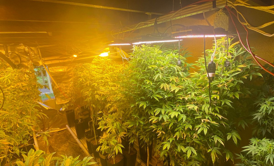 Polícia Militar desmantela laboratório de drogas em Balsa Nova