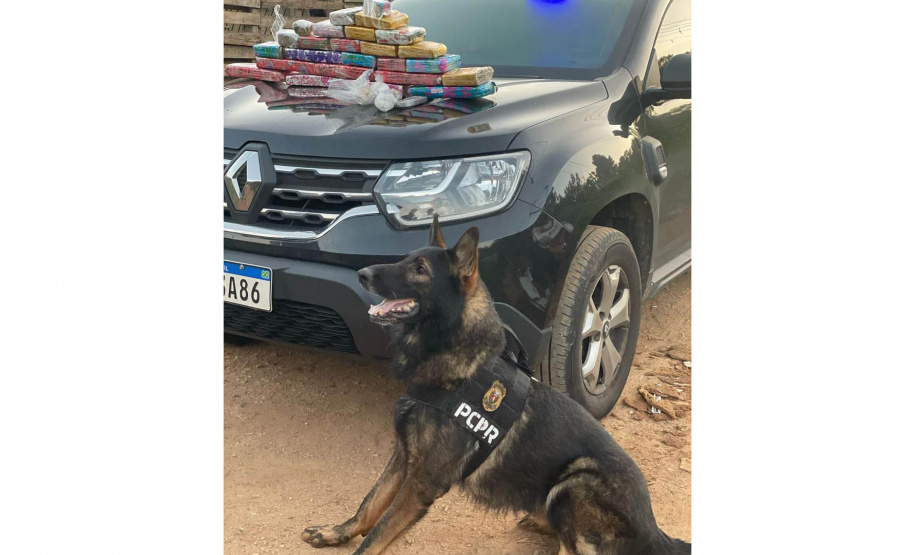 Megaoperação da PCPR com 24 mandados de prisão mira traficantes de drogas da RMC