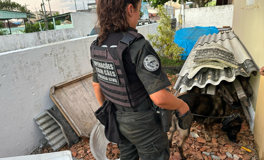 Com 39 mandados, PCPR e PMPR deflagram operação contra o tráfico no Litoral