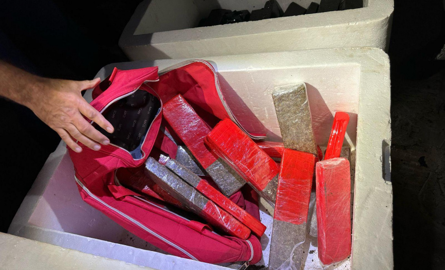 PCPR prende oito em operação contra organização ligada ao tráfico e lavagem de dinheiro